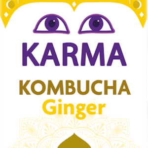 KOMBUCHA Z IMBIREM NISKA ZAWARTOŚĆ CUKRÓW FAIR FOR LIFE DEMETER BIO 500 ml - KARMA