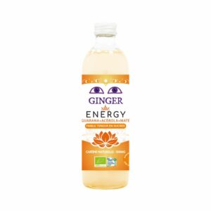 PIWO IMBIROWE ENERGY BEZALKOHOLOWE FAIR FOR LIFE BIO 350 ml - KARMA