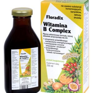 WITAMINA B COMPLEX W PŁYNIE BEZGLUTENOWA 250 ml - SALUS (FLORADIX)