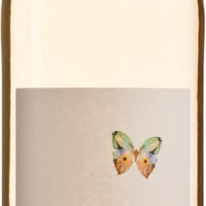WINO BIAŁE WYTRAWNE PINOT GRIGIO BIO 0,75 L (WŁOCHY) - IL PONTE