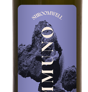 SUPLEMENT DIETY NA ODPORNOŚĆ Z CHAGĄ I CZARNĄ PORZECZKĄ W PŁYNIE 250 ml - SHROOMWELL