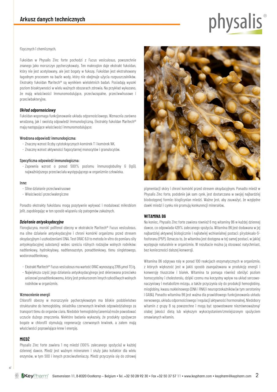 CYNK FORTE 30 TABLETEK - PHYSALIS - obrazek 3