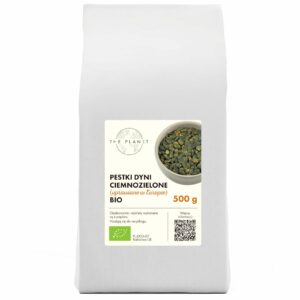 PESTKI DYNI CIEMNOZIELONE (UPRAWIANE W EUROPIE) BIO 500 g - THE PLANET