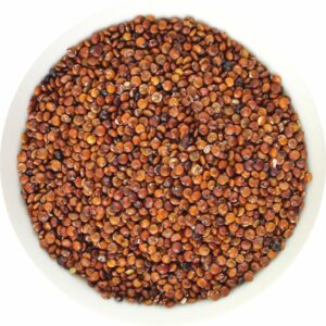 QUINOA CZERWONA (KOMOSA RYŻOWA) BIO (SUROWIEC) (25 kg)