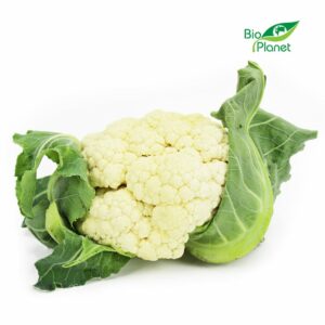 OPAKOWANIE ZBIORCZE (szt) - KALAFIOR ŚWIEŻY BIO (POLSKA) (około 6 sztuk)