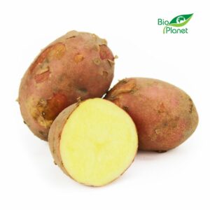 OPAKOWANIE ZBIORCZE (kg) - ZIEMNIAKI CZERWONE MŁODE ŚWIEŻE BIO (POLSKA) (około 10 kg)