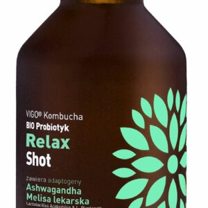 SHOT KOMBUCHA PROBIOTYK RELAX BEZGLUTENOWY BIO 100 ml - VIGO