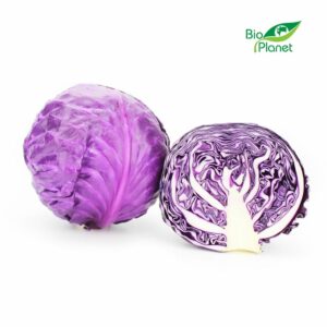 OPAKOWANIE ZBIORCZE (kg) - KAPUSTA CZERWONA MŁODA ŚWIEŻA BIO (około 8 kg)