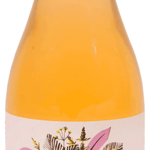 KOMBUCHA LAURIE 750 ml - KOMBUCHA BY LAURENT