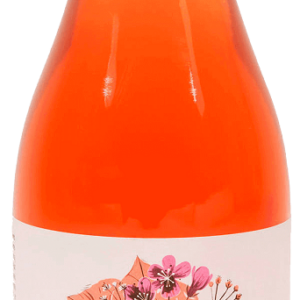 KOMBUCHA JULIA 750 ml - KOMBUCHA BY LAURENT