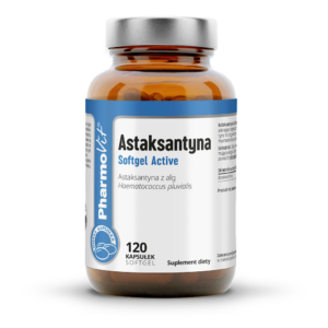 ASTAKSANTYNA BEZGLUTENOWA 120 KAPSUŁEK - PHARMOVIT