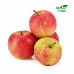 OPAKOWANIE ZBIORCZE (kg) - JABŁKA NA SOK ŚWIEŻE BIO (POLSKA) (około 5 kg)