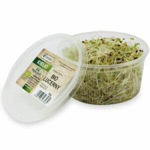 KIEŁKI LUCERNY ŚWIEŻE BIO (około 50 g)