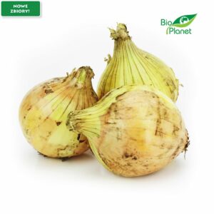 OPAKOWANIE ZBIORCZE (kg) - CEBULA ŻÓŁTA ŚWIEŻA BIO (POLSKA) (około 5 kg)