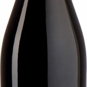 WINO CZERWONE WYTRAWNE SYRAH BEZ DODATKU SIARCZYNÓW BIO 750 ml - PAGO CASA GRAN