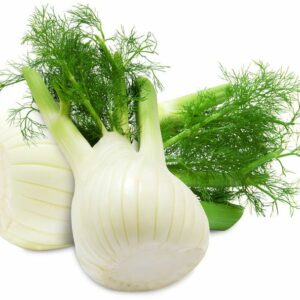 OPAKOWANIE ZBIORCZE (kg) - KOPER WŁOSKI ŚWIEŻY (FENKUŁ) BIO (POLSKA) (około 3 kg)