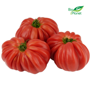 OPAKOWANIE ZBIORCZE (kg) - POMIDORY BAWOLE SERCE ŚWIEŻE BIO (POLSKA) (około 3 kg)