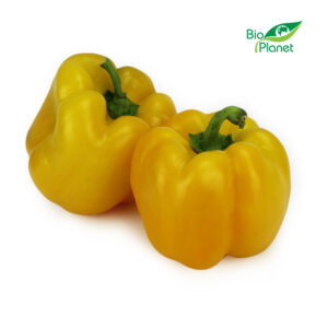 OPAKOWANIE ZBIORCZE (kg) - PAPRYKA ŻÓŁTA ŚWIEŻA BIO (POLSKA) (około 5 kg)